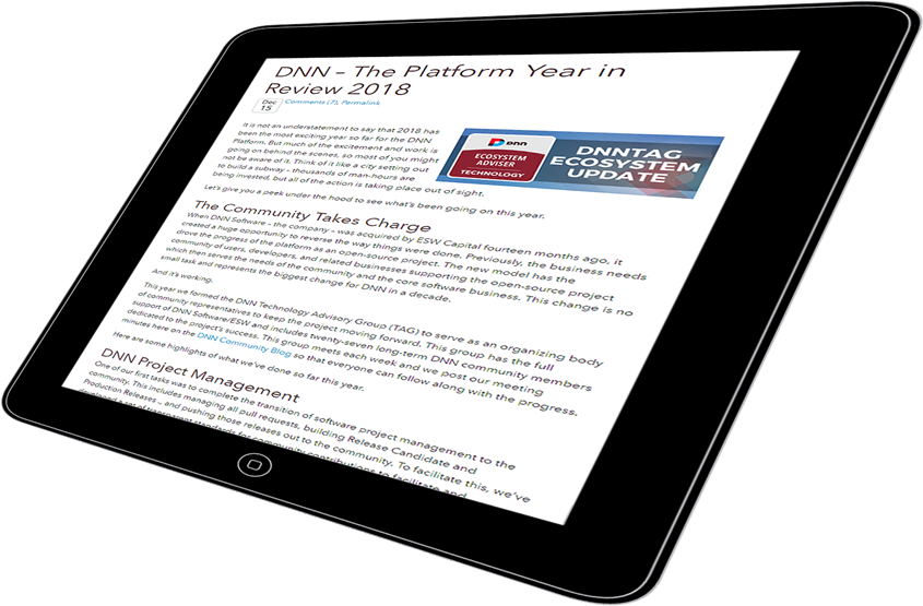 米歇尔·塞勒斯在2018平台年度回顾上的博客截图